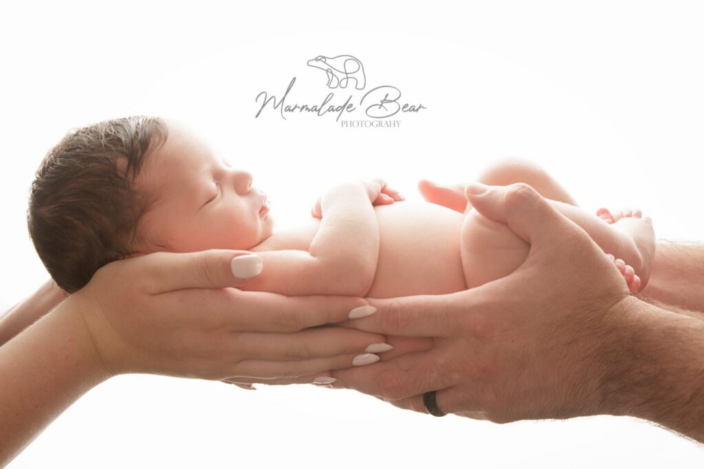 Marmalade Bear Photography portfolio image