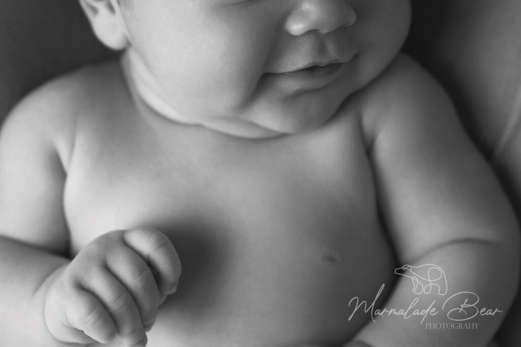 Marmalade Bear Photography portfolio image