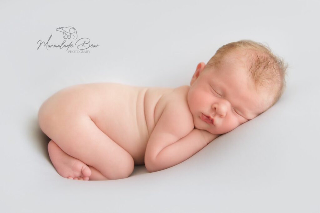 Marmalade Bear Photography portfolio image